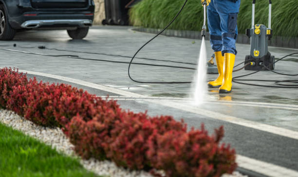 Best Driveway Pressure Washing  in Dalhart, TX